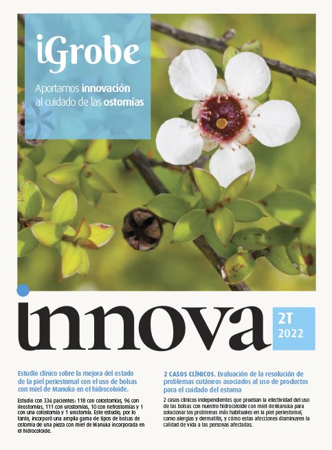 innova magazine 2T 2022